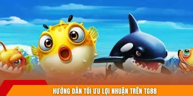 Hướng dẫn tối ưu lợi nhuận trên TG88